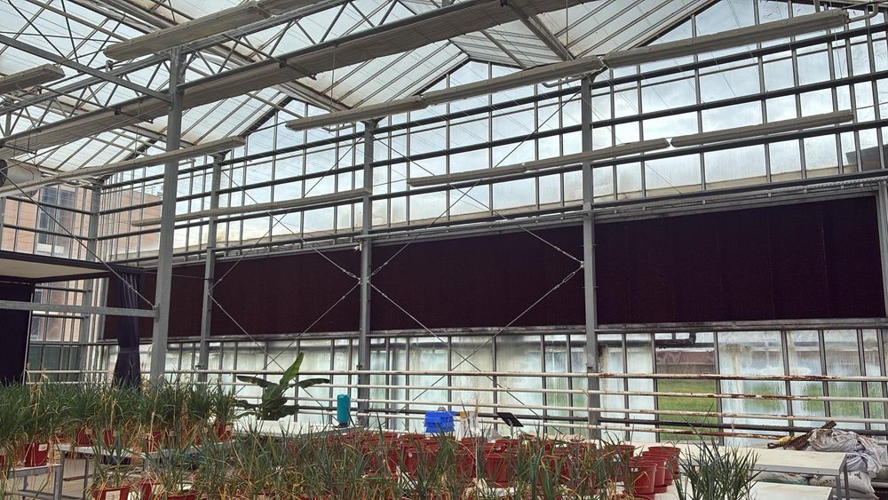 Inside the R&D greenhouse