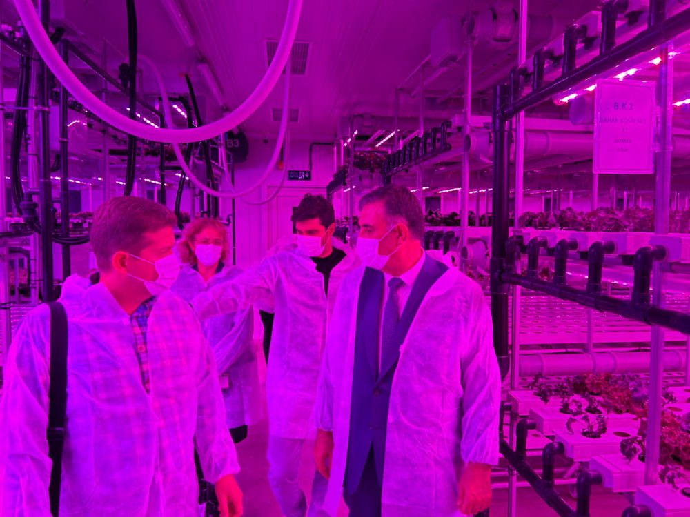Looking over the vertical farming unit