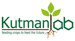 KutmanLab