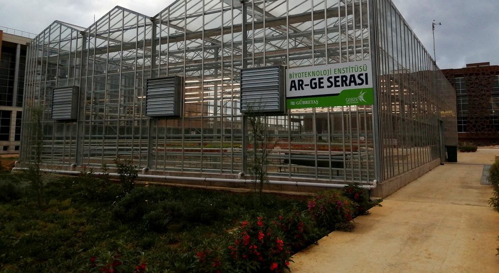 The R&D greenhouse